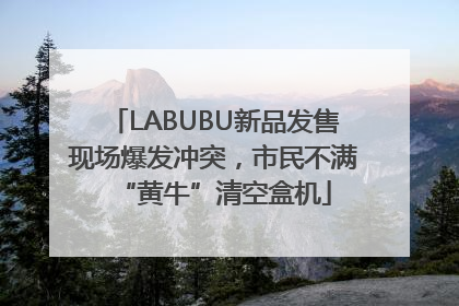 LABUBU新品发售现场爆发冲突，市民不满“黄牛”清空盒机