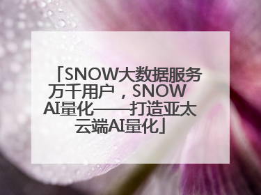 SNOW大数据服务万千用户，SNOW AI量化——打造亚太云端AI量化